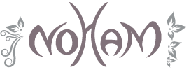 logo noham web vitrine - Quimper Brest